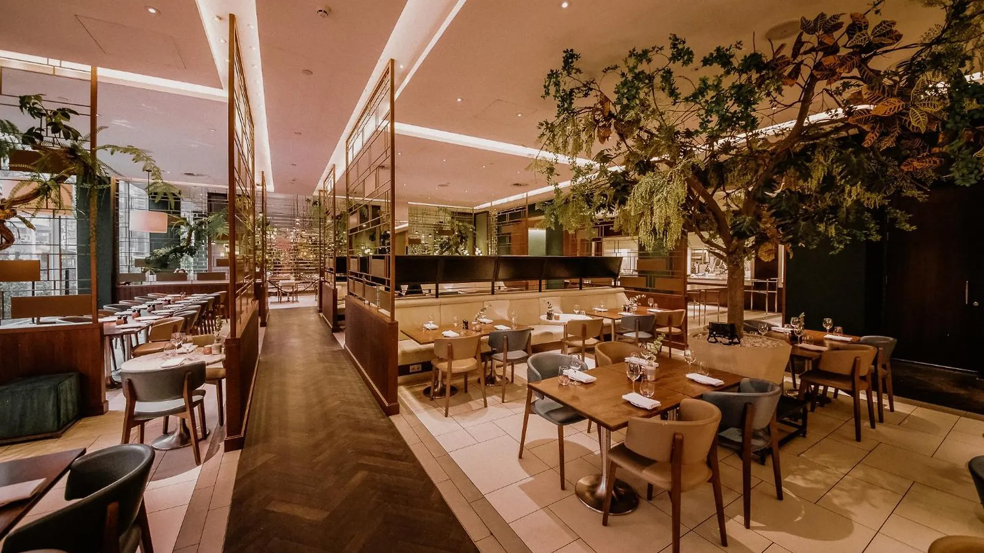 *****  Hilton Rotterdam Hotel Netherlands